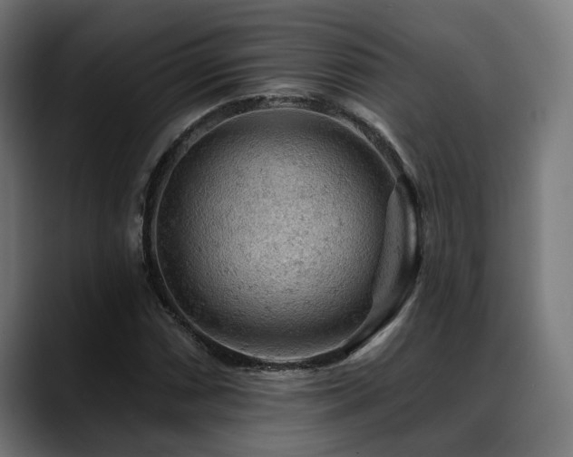 X0000088651066200705251457