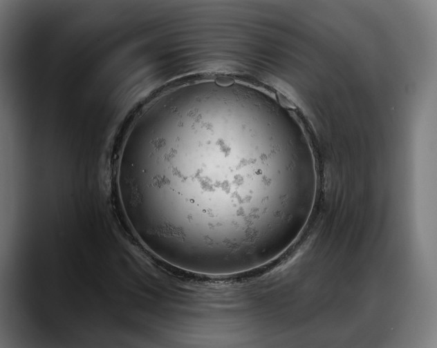 X0000088651067200705251457