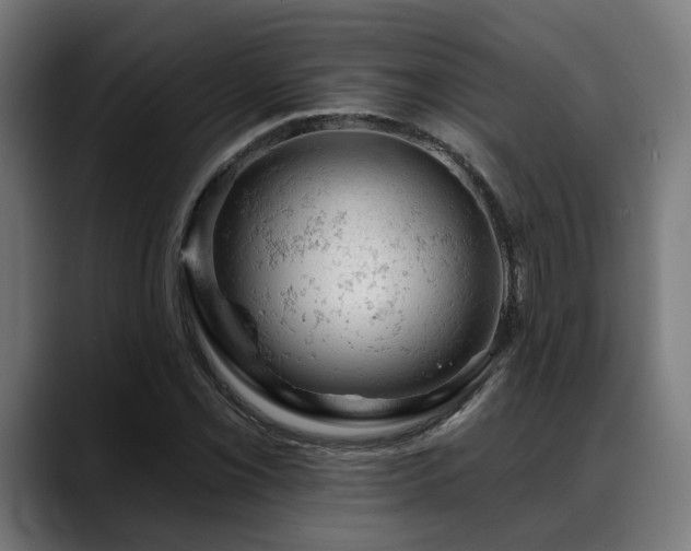 X0000088651069200705251457