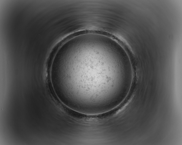 X0000088651070200705251457