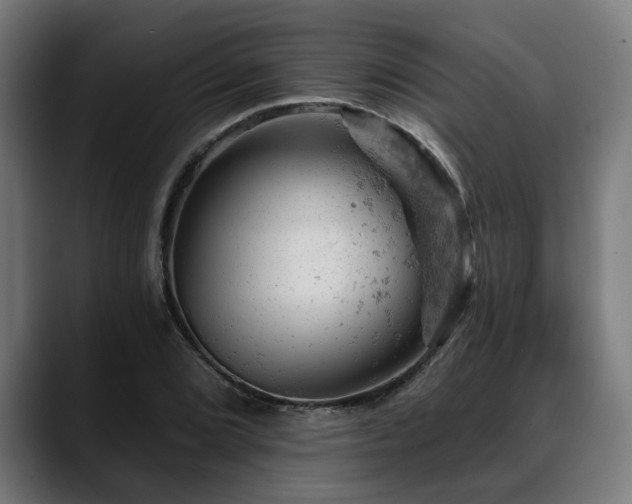 X0000088651072200705251457