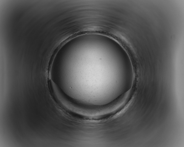 X0000088651073200705251457