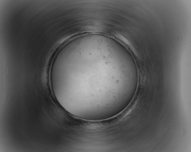 X0000088651074200705251457