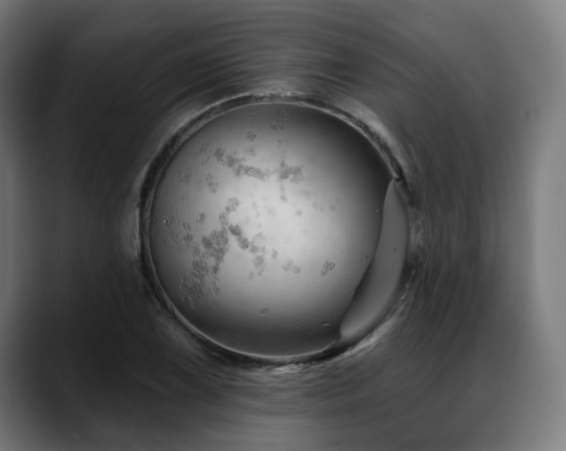 X0000088651075200705251457