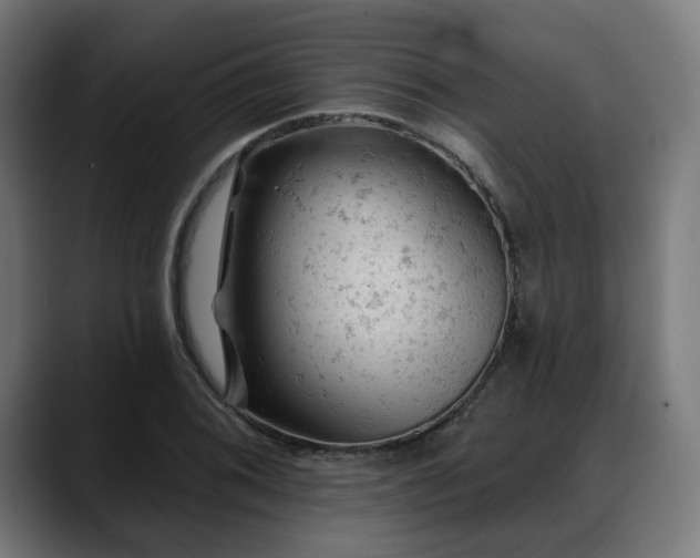 X0000088651076200705251457
