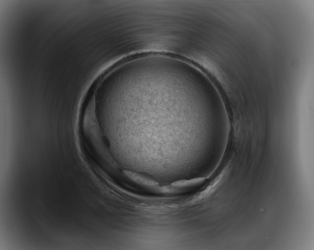 X0000088651077200705251457