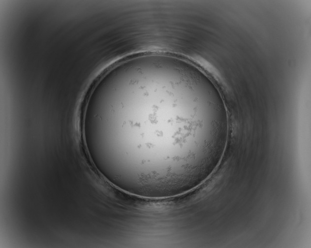 X0000088651078200705251457