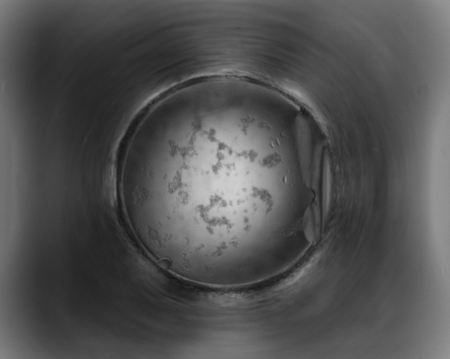 X0000088651079200705251457