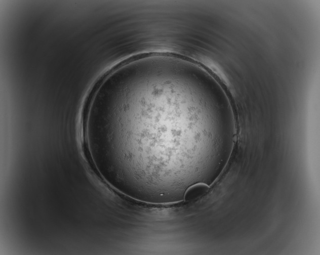 X0000088651080200705251457
