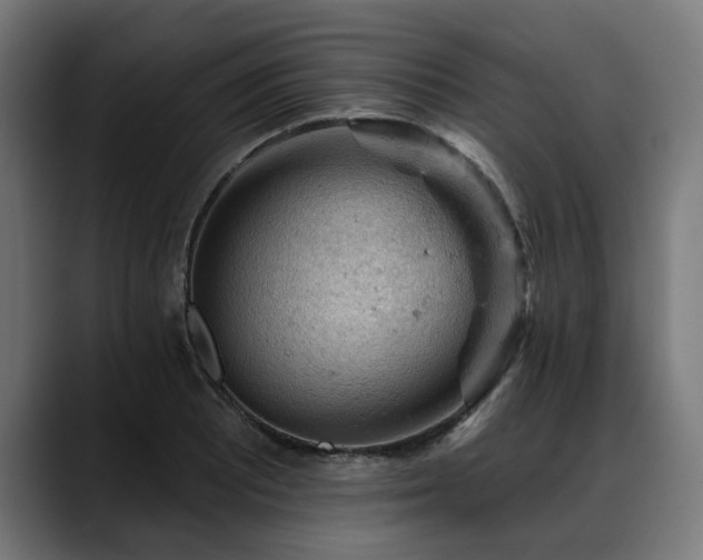 X0000088651081200705251457