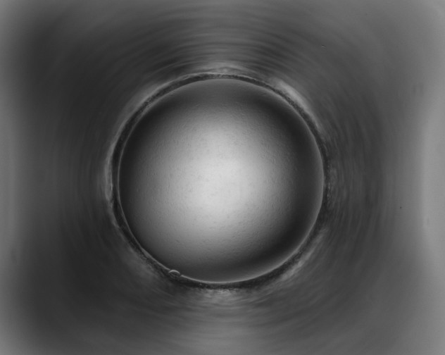 X0000088651082200705251457