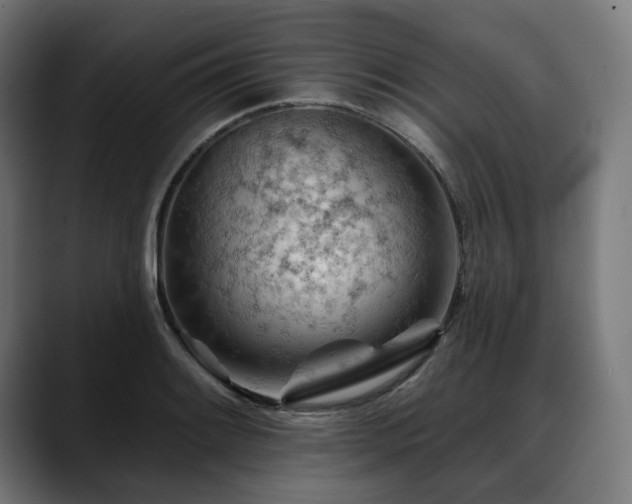 X0000088651084200705251457