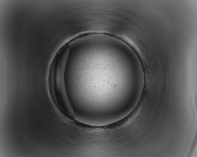 X0000088651085200705251457