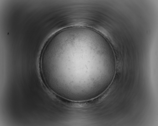 X0000088651086200705251457