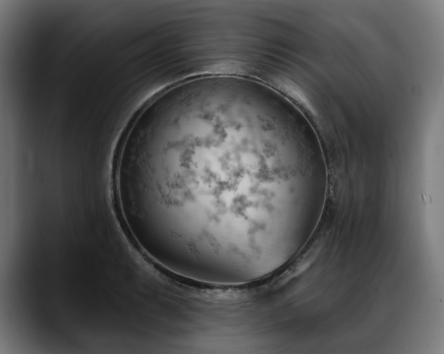 X0000088651087200705251457