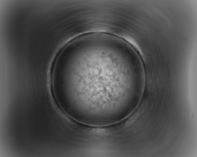 X0000088651088200705251457
