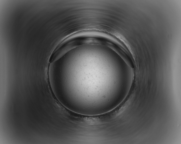 X0000088651089200705251457