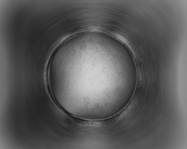 X0000088651090200705251457