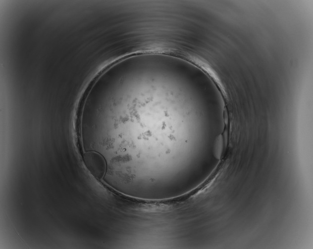 X0000088651091200705251457