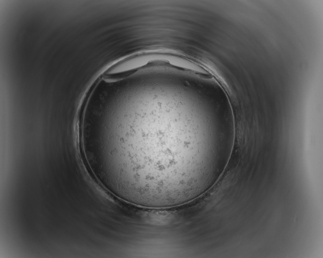 X0000088651092200705251457