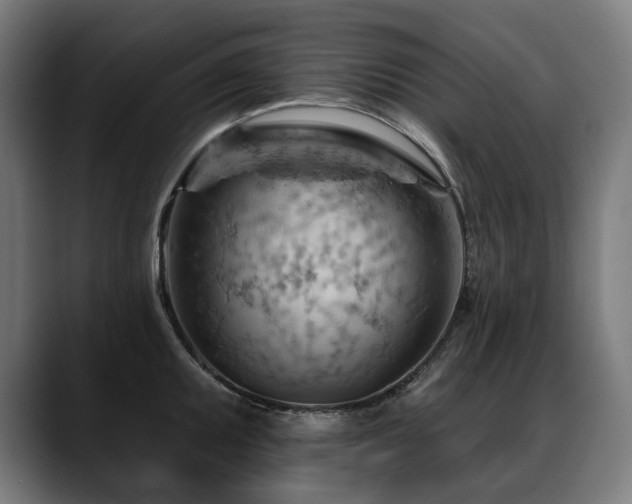 X0000088651095200705251456