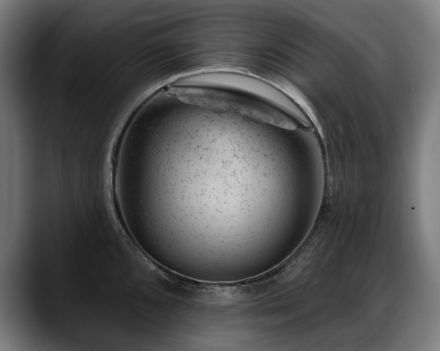 X0000088651096200705251456