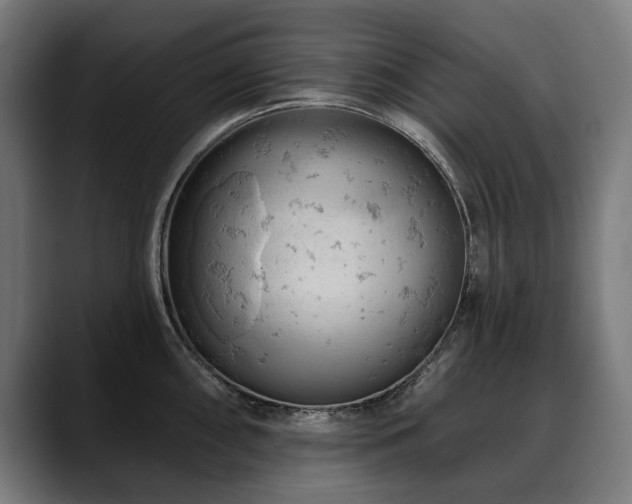 X0000088651098200705251456