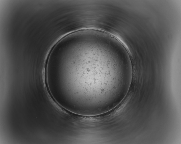 X0000088651100200705251456
