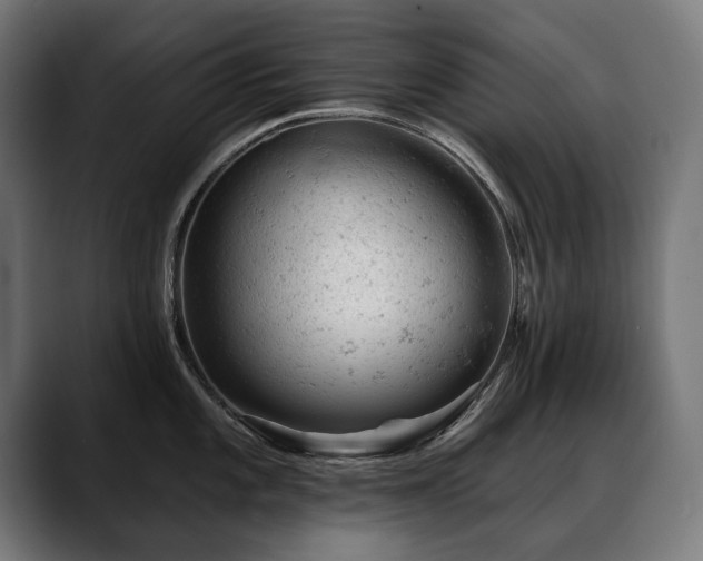 X0000088651101200705251456