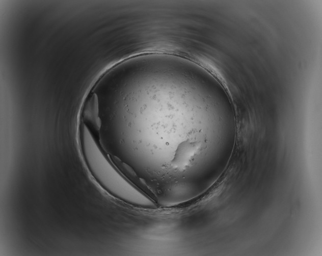 X0000088651103200705251456