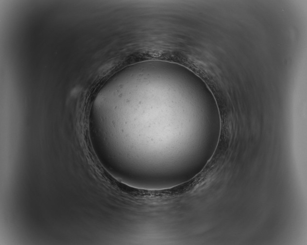 X0000088651105200705251456