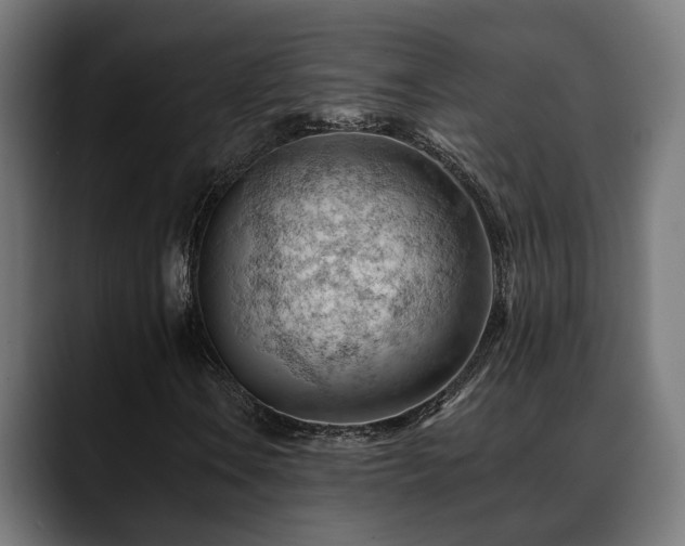 X0000088651106200705251456