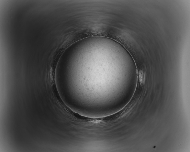 X0000088651107200705251456