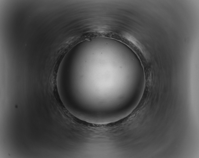 X0000088651110200705251456
