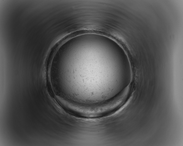 X0000088651114200705251456