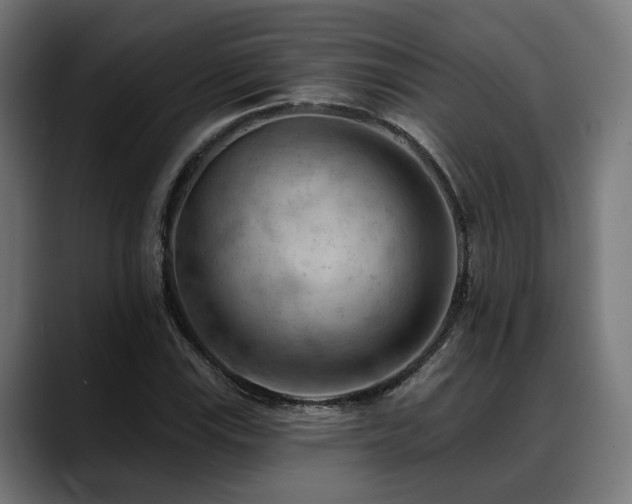 X0000088651115200705251456