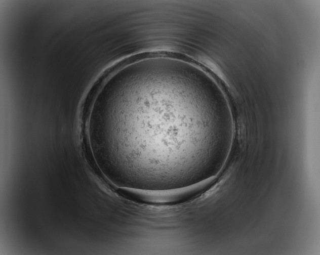 X0000088651116200705251456