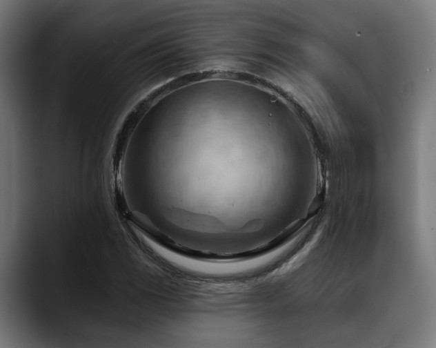 X0000088651117200705251456