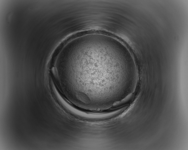 X0000088651118200705251456