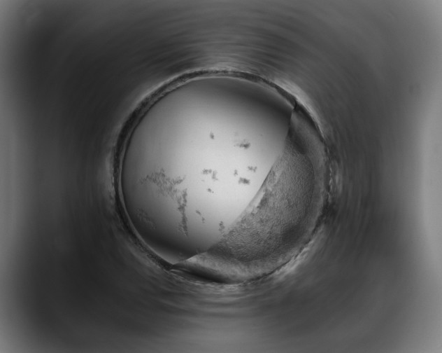 X0000088651120200705251456