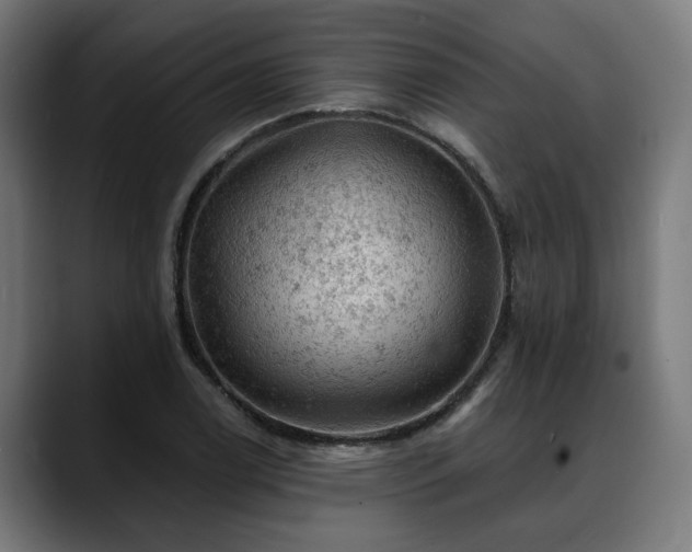 X0000088651122200705251456