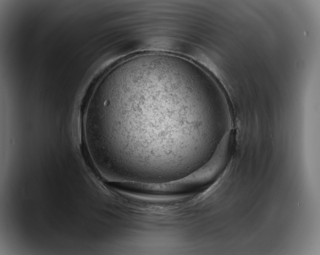 X0000088651123200705251456