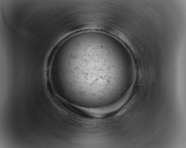 X0000088651124200705251456