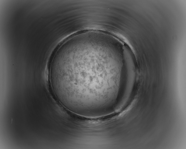 X0000088651125200705251456