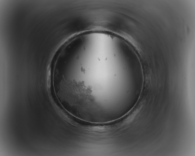 X0000088651126200705251456