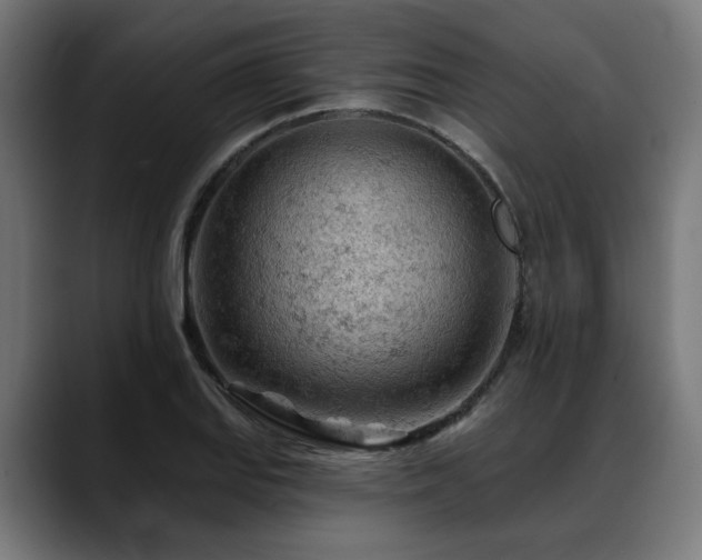 X0000088651127200705251456