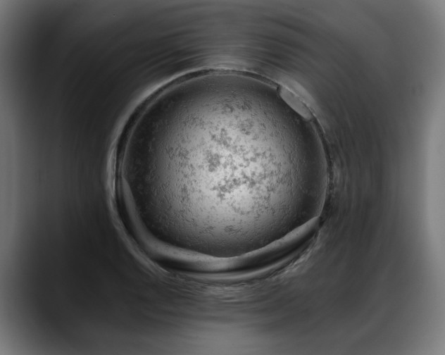 X0000088651128200705251456