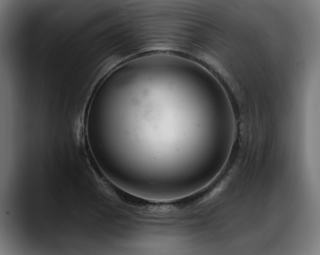 X0000088651129200705251456