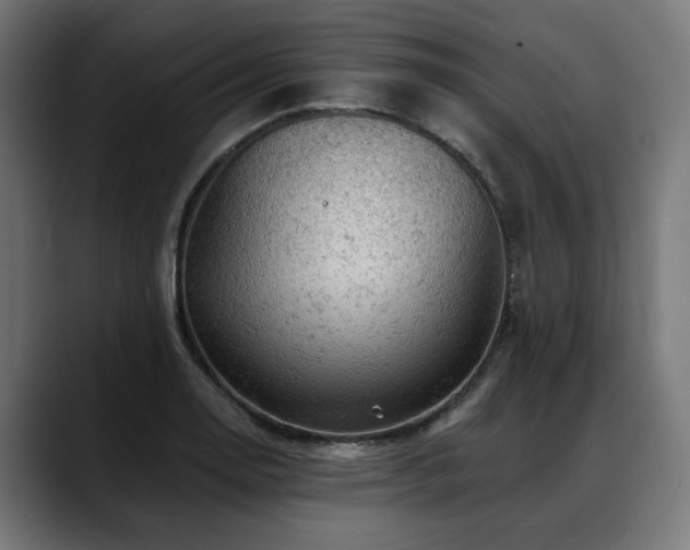 X0000088651130200705251456