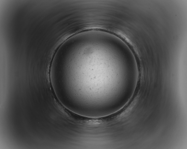 X0000088651137200705251456